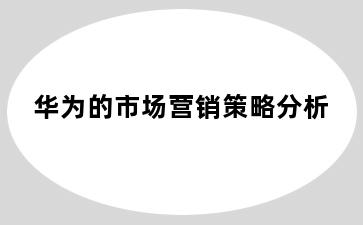 华为的市场营销策略分析