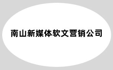 南山新媒体软文营销公司