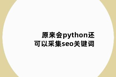原来会python还可以采集seo关键词