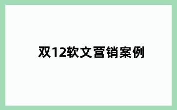 双12软文营销案例