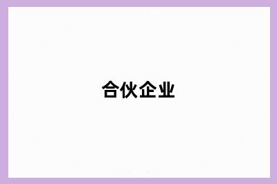 合伙企业