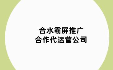 合水霸屏推广合作代运营公司