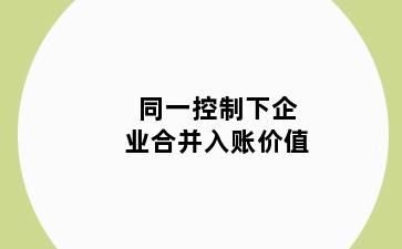 同一控制下企业合并入账价值