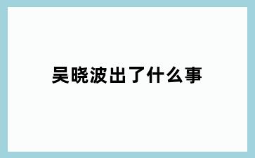 吴晓波出了什么事