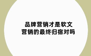 品牌营销才是软文营销的最终归宿对吗