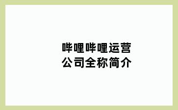 哔哩哔哩运营公司全称简介