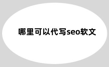 哪里可以代写seo软文