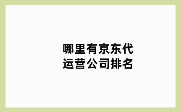 哪里有京东代运营公司排名