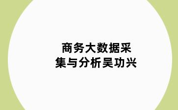 商务大数据采集与分析吴功兴