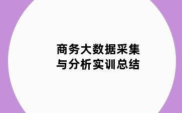 商务大数据采集与分析实训总结