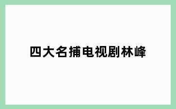 四大名捕电视剧林峰