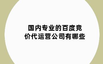 国内专业的百度竞价代运营公司有哪些