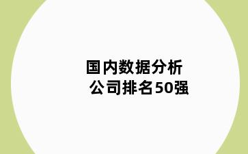 国内数据分析公司排名50强