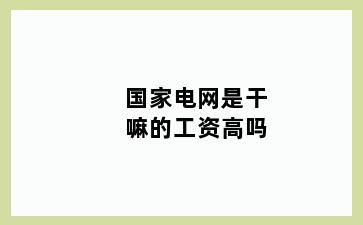 国家电网是干嘛的工资高吗