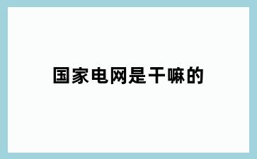 国家电网是干嘛的