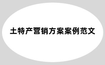 土特产营销方案案例范文