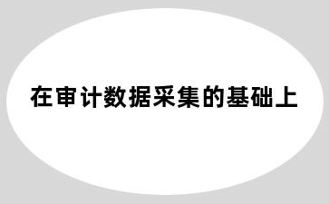 在审计数据采集的基础上