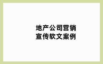 地产公司营销宣传软文案例