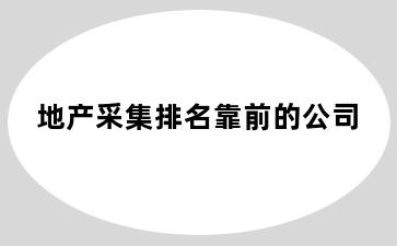 地产采集排名靠前的公司