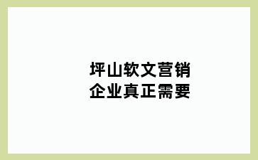 坪山软文营销企业真正需要