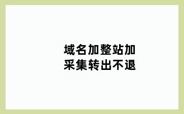 域名加整站加采集转出不退