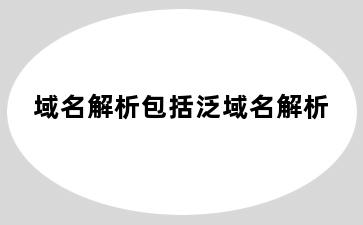 域名解析包括泛域名解析