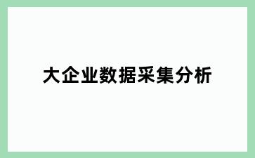 大企业数据采集分析