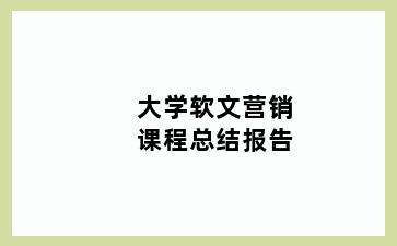 大学软文营销课程总结报告