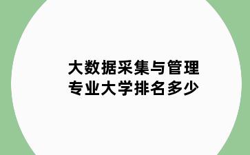 大数据采集与管理专业大学排名多少