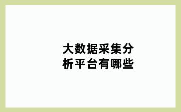 大数据采集分析平台有哪些