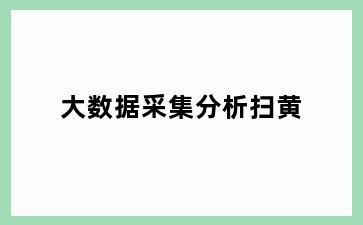 大数据采集分析扫黄