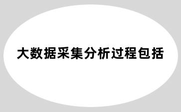 大数据采集分析过程包括