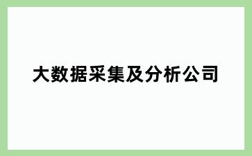 大数据采集及分析公司