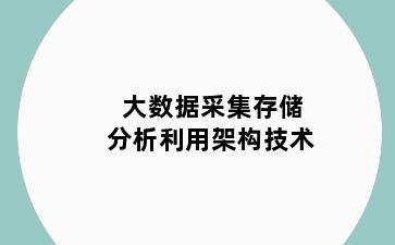 大数据采集存储分析利用架构技术