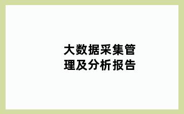 大数据采集管理及分析报告