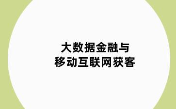 大数据金融与移动互联网获客