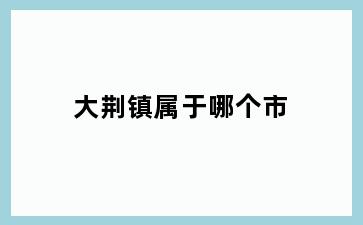 大荆镇属于哪个市