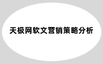 天极网软文营销策略分析