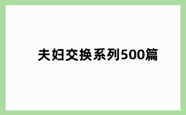 夫妇交换系列500篇