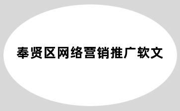 奉贤区网络营销推广软文