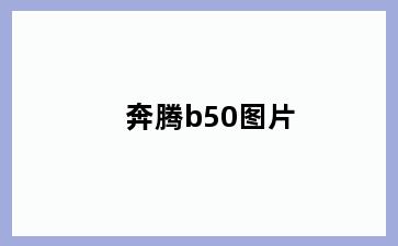 奔腾b50图片