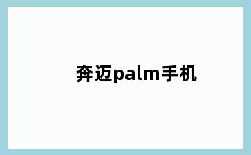 奔迈palm手机