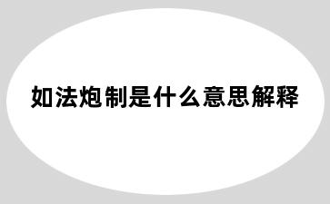 如法炮制是什么意思解释