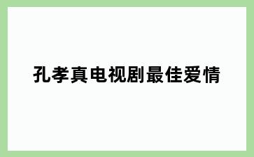 孔孝真电视剧最佳爱情