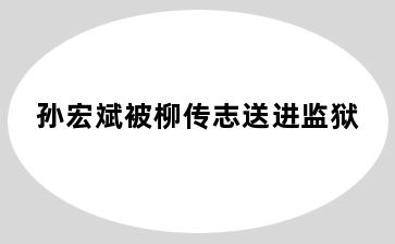 孙宏斌被柳传志送进监狱