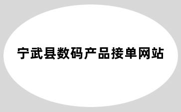 宁武县数码产品接单网站