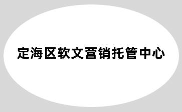 定海区软文营销托管中心