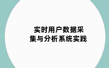 实时用户数据采集与分析系统实践