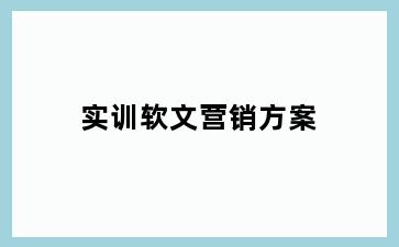 实训软文营销方案