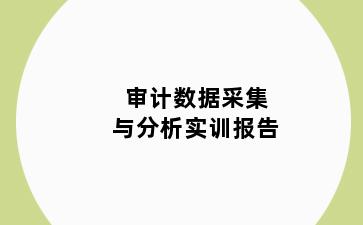 审计数据采集与分析实训报告